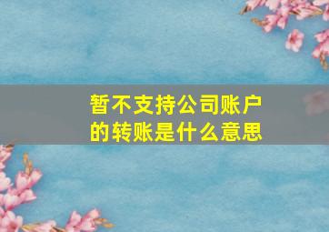 暂不支持公司账户的转账是什么意思