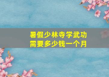 暑假少林寺学武功需要多少钱一个月