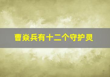 曹焱兵有十二个守护灵