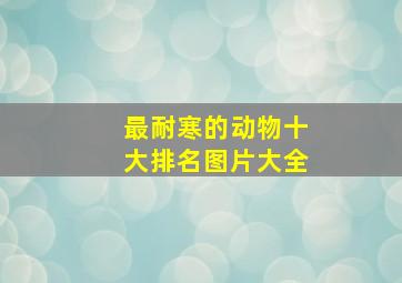 最耐寒的动物十大排名图片大全