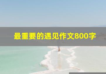 最重要的遇见作文800字