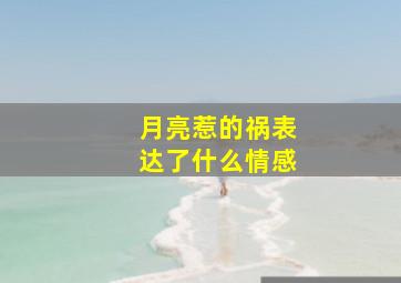 月亮惹的祸表达了什么情感