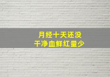 月经十天还没干净血鲜红量少