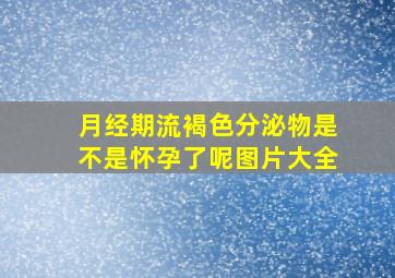 月经期流褐色分泌物是不是怀孕了呢图片大全