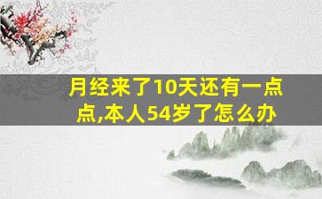 月经来了10天还有一点点,本人54岁了怎么办