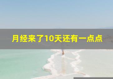 月经来了10天还有一点点