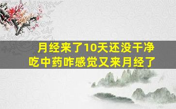 月经来了10天还没干净吃中药咋感觉又来月经了