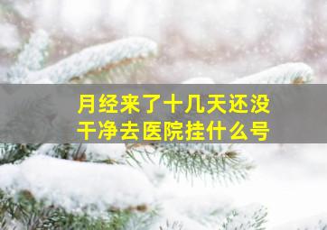 月经来了十几天还没干净去医院挂什么号