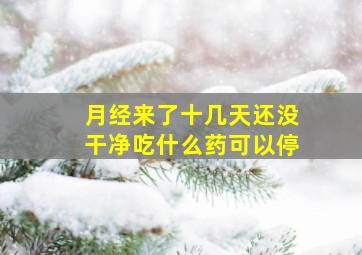 月经来了十几天还没干净吃什么药可以停