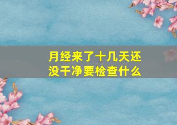 月经来了十几天还没干净要检查什么