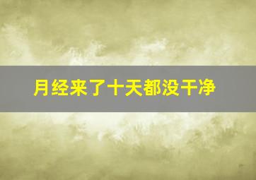 月经来了十天都没干净