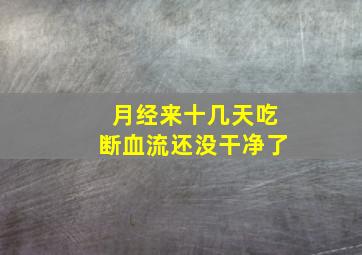 月经来十几天吃断血流还没干净了