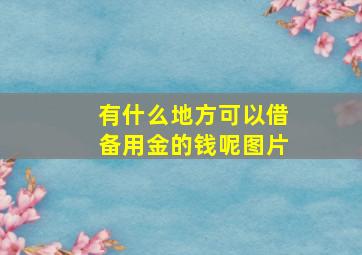 有什么地方可以借备用金的钱呢图片