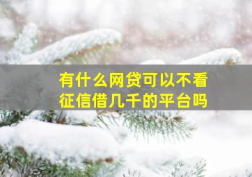 有什么网贷可以不看征信借几千的平台吗