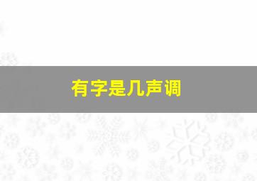 有字是几声调