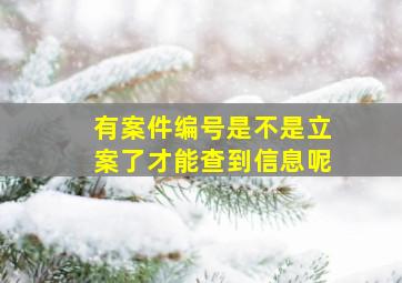 有案件编号是不是立案了才能查到信息呢