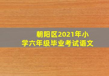 朝阳区2021年小学六年级毕业考试语文