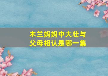 木兰妈妈中大壮与父母相认是哪一集