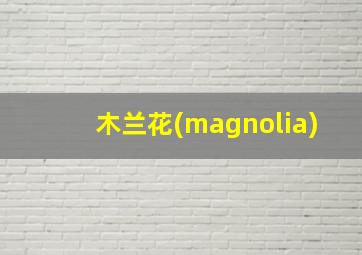 木兰花(magnolia)