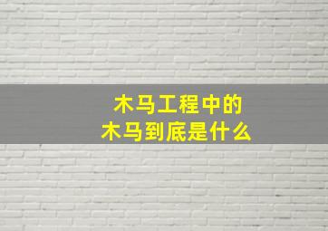 木马工程中的木马到底是什么