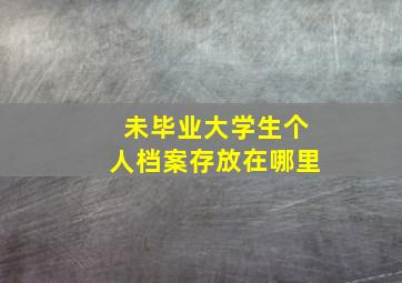 未毕业大学生个人档案存放在哪里