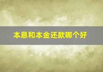 本息和本金还款哪个好