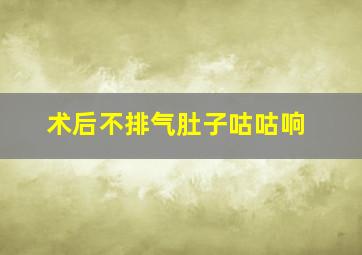 术后不排气肚子咕咕响