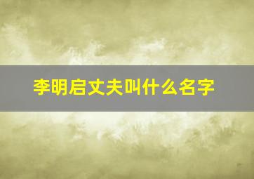 李明启丈夫叫什么名字