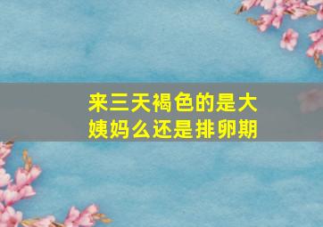 来三天褐色的是大姨妈么还是排卵期