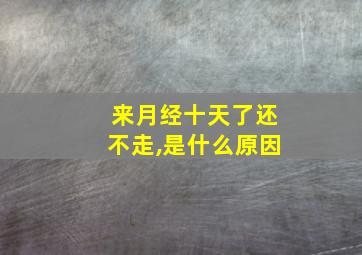 来月经十天了还不走,是什么原因