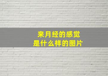 来月经的感觉是什么样的图片