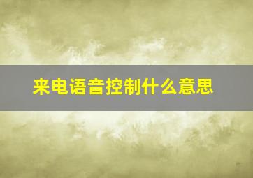 来电语音控制什么意思