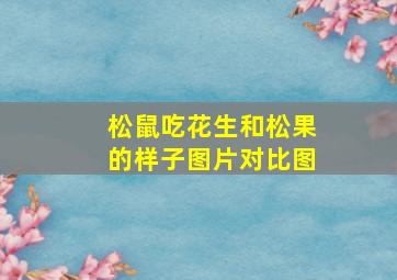 松鼠吃花生和松果的样子图片对比图