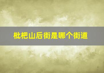 枇杷山后街是哪个街道