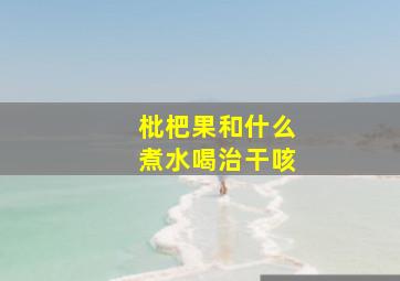 枇杷果和什么煮水喝治干咳