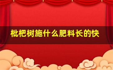 枇杷树施什么肥料长的快