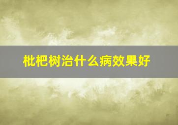 枇杷树治什么病效果好