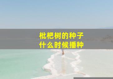 枇杷树的种子什么时候播种