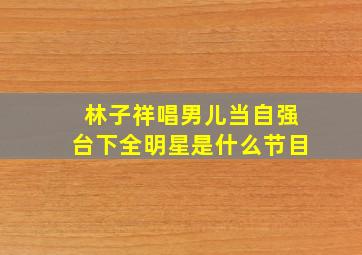 林子祥唱男儿当自强台下全明星是什么节目