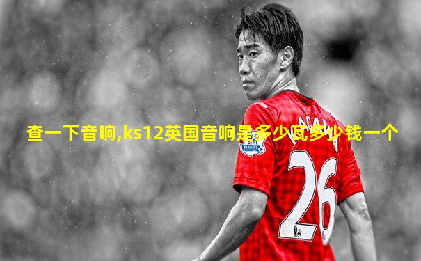 查一下音响,ks12英国音响是多少瓦多少钱一个
