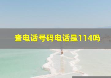 查电话号码电话是114吗