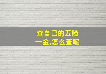 查自己的五险一金,怎么查呢