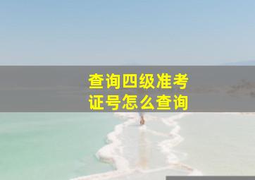 查询四级准考证号怎么查询