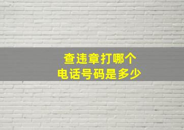 查违章打哪个电话号码是多少