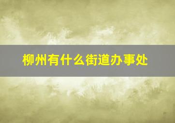 柳州有什么街道办事处