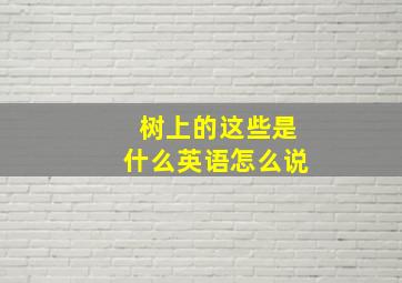 树上的这些是什么英语怎么说