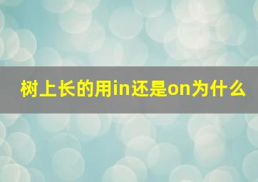 树上长的用in还是on为什么