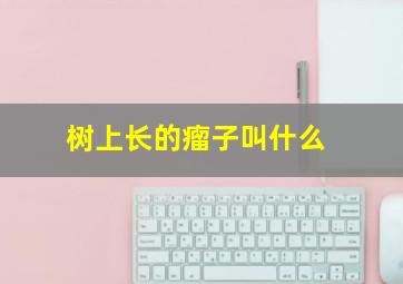 树上长的瘤子叫什么