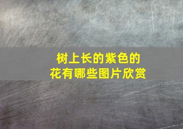 树上长的紫色的花有哪些图片欣赏