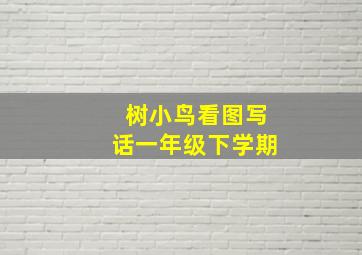 树小鸟看图写话一年级下学期